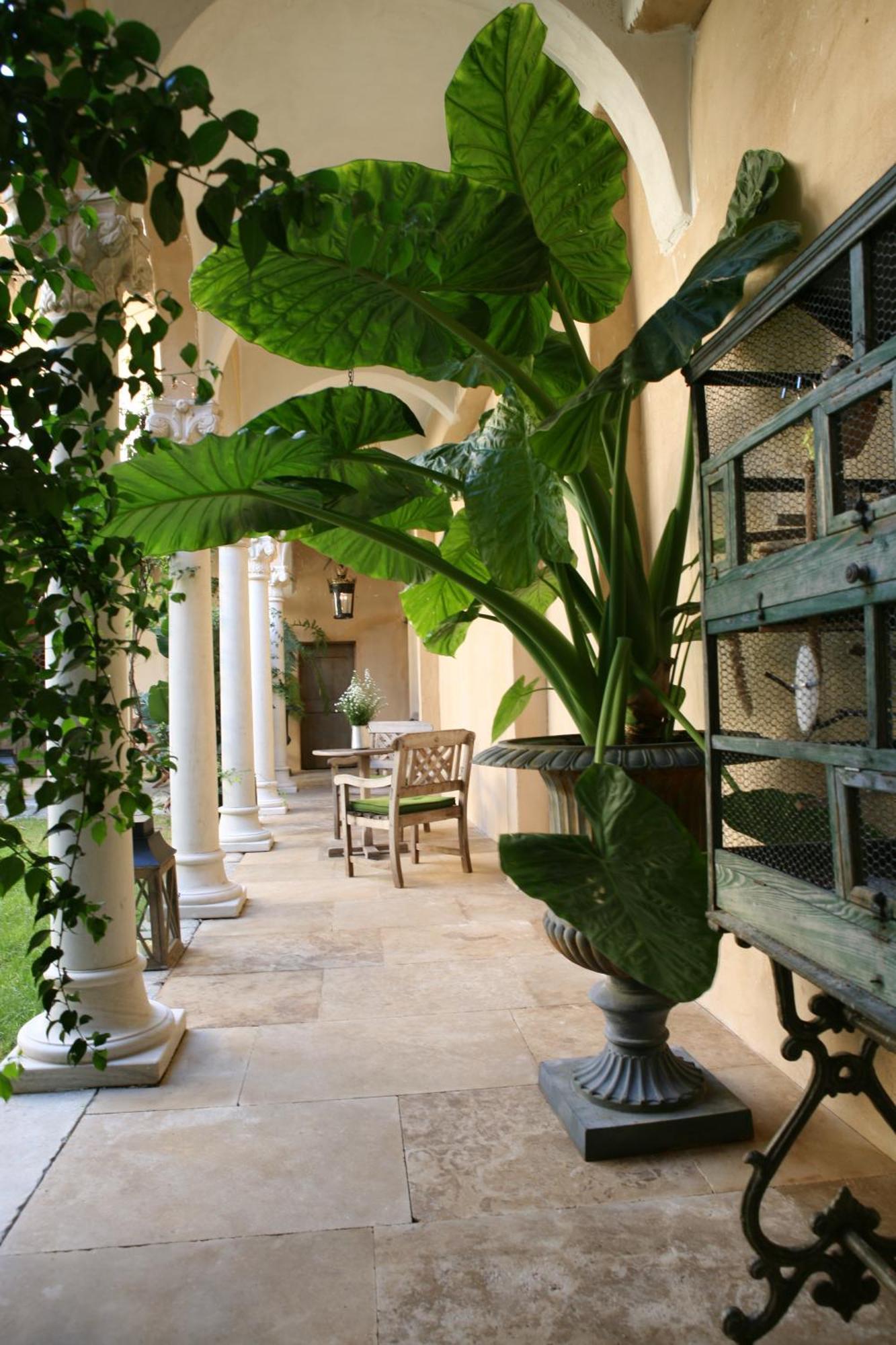 Jardins Secrets Nîmes Exterior foto